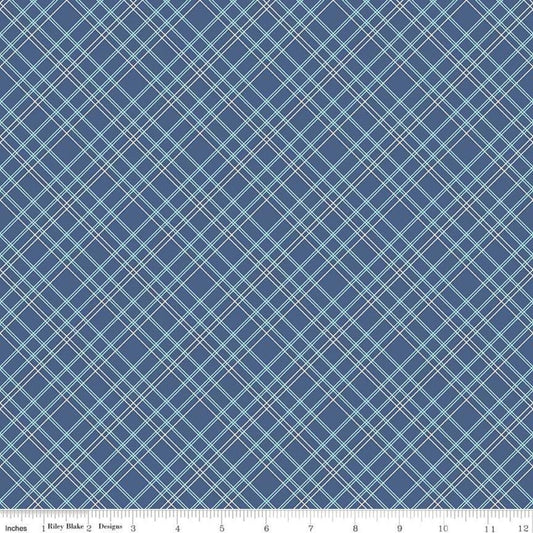 Lori Holt Wide Back Plaid Blue Quilt Back 108" wideback