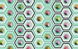 Tula Pink Frog Prince - Hex Box Sweet Mint